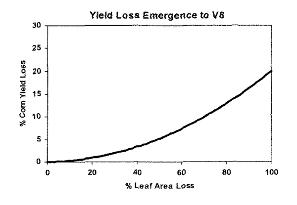 Figure 4-2. Corn yield loss resulting from loss of leaf area